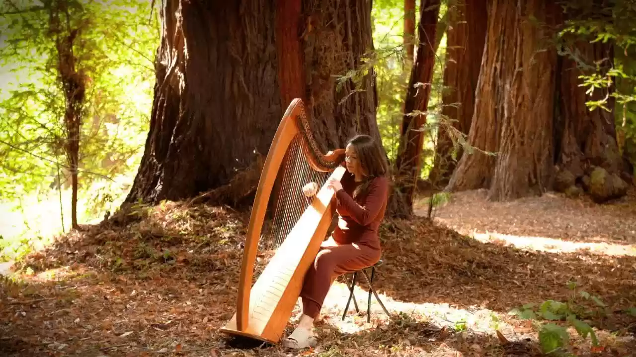 Music for the Redwoods I 1 Hour Relaxing Harp I Sarah Bhalla.